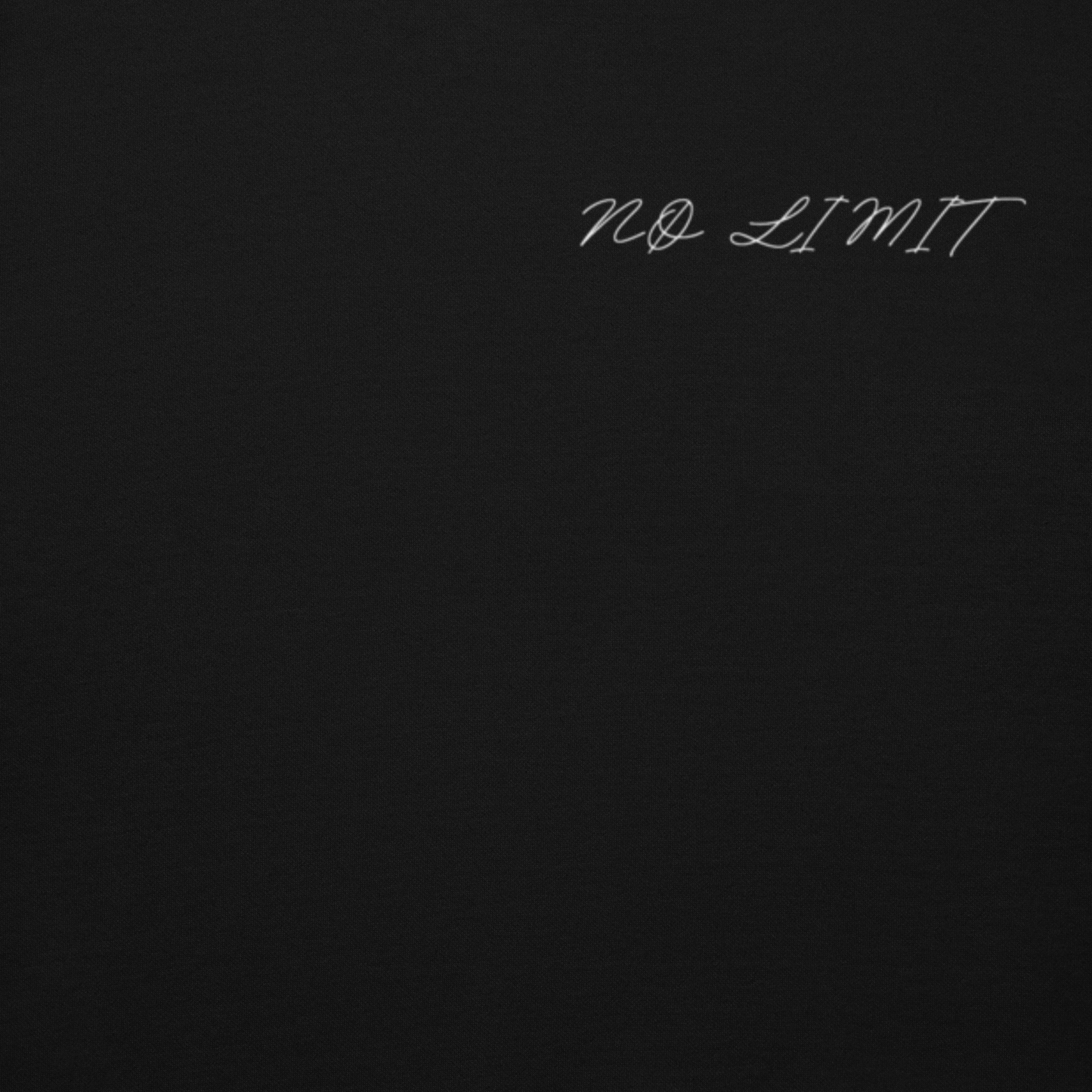 Détail du logo NØ LIMIT sur hoodie noir gym